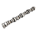12629512 Camshaft & AFM LS7 Lifters for Chevy 6.2L LT Gen5 L86 L87 2014-2020-9