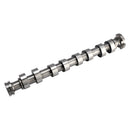 Intake Camshaft for MINI Cooper 1.6 L4 Gas N12B16A N16B16A Engine 11317587755-9
