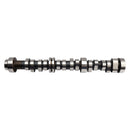 Camshaft Lifters Kit for Chevrolet GMC Silverado Sierra 1500 4.3L V6 2014-2020-1