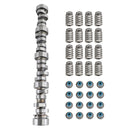 1999-2013 General Truck Application Stage 2 Truck Camshaft Kit Generic-10