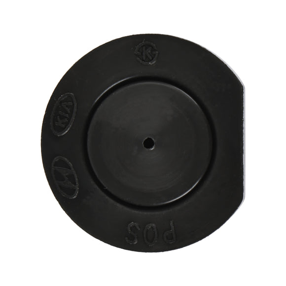 Hyundai New Camshaft Plug Fits 243522GGB0 24352 2GGA1 Generic