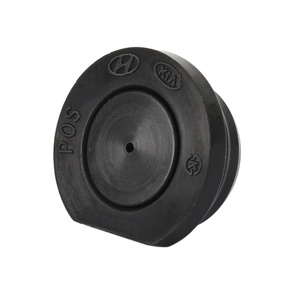 Hyundai New Camshaft Plug Fits 243522GGB0 24352 2GGA1 Generic
