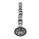 VW AUDI A4 2.0 TFSI Exhaust Camshaft Timing Gear Assembly 06H109022BJ Generic-4
